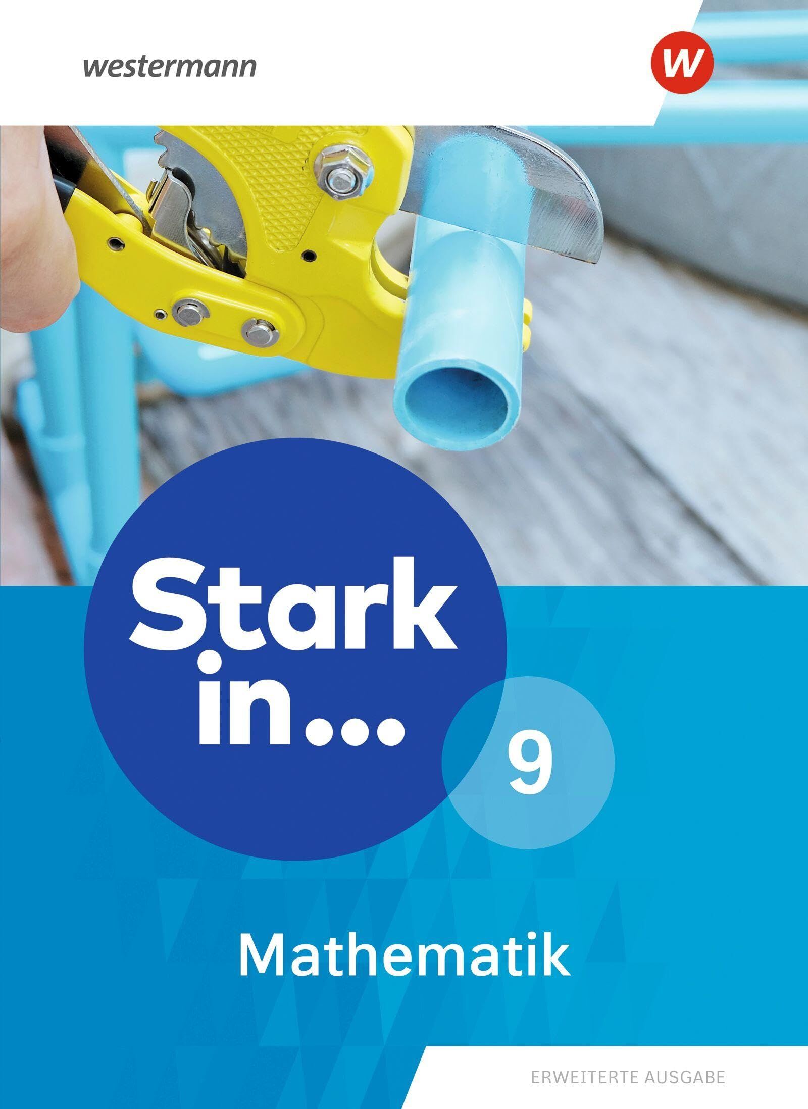 Stark in Mathematik - Schulbuch 9. Erweiterte Ausgabe 2021
