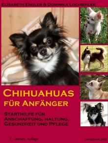 Chihuahuas für Anfänger: Starthilfe für Anschaffung, Haltung, Gesundheit und Pflege