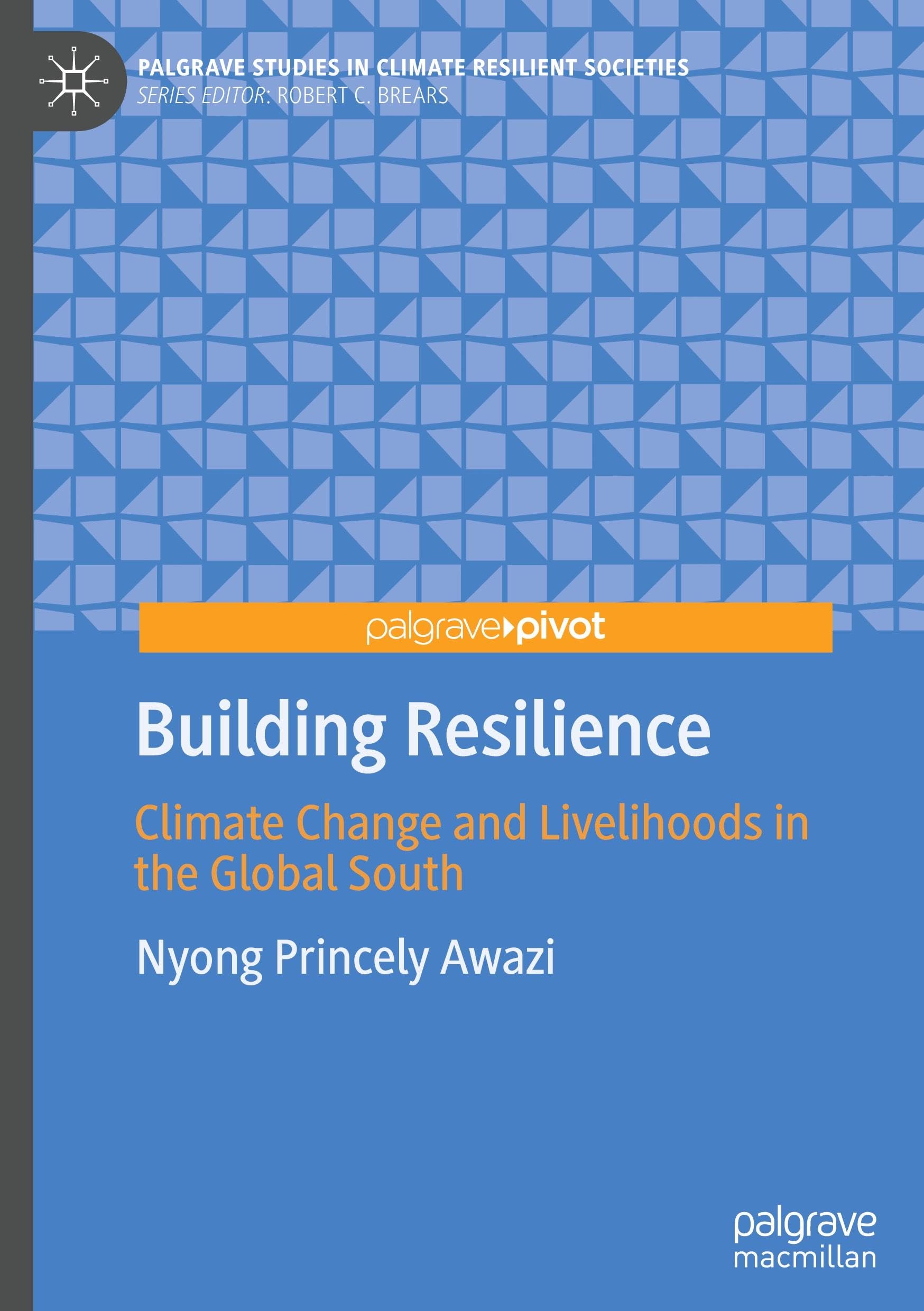 Building Resilience: Climate Change and Livelihoods in the Global South (Palgrave Studies in Climate Resilient Societies)