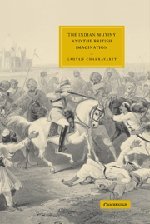 The Indian Mutiny and the British Imagination (Cambridge Studies in Nineteenth-Century Literature and Culture, Band 43)