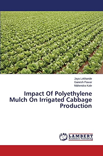 Impact Of Polyethylene Mulch On Irrigated Cabbage Production