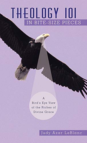 Theology 101 in Bite-Size Pieces: A Bird's Eye View of the Riches of Divine Grace