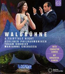 Berliner Philharmoniker Waldbühne 2019 [Blu-ray]