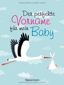 Der perfekte Vorname für mein Baby | Buch | Zustand sehr gut
