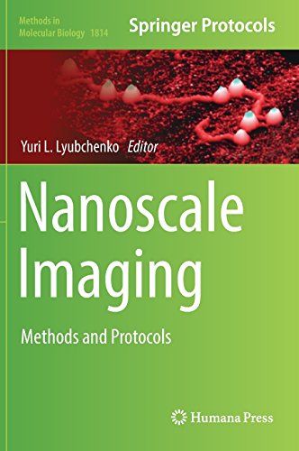 Nanoscale Imaging: Methods and Protocols (Methods in Molecular Biology, Band 1814)