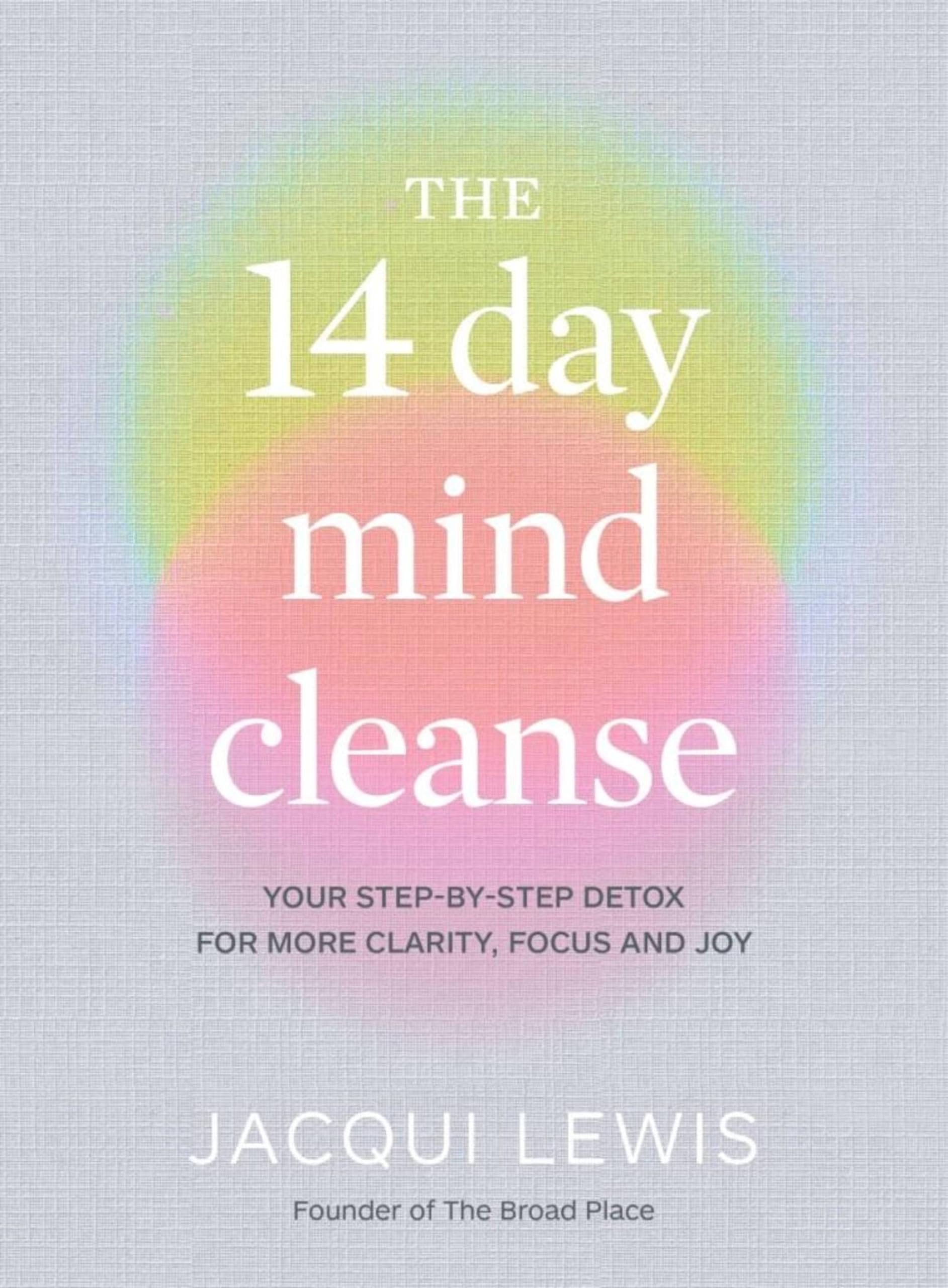 The 14 Day Mind Cleanse: Your Step-by-step Detox for More Clarity, Focus and Joy
