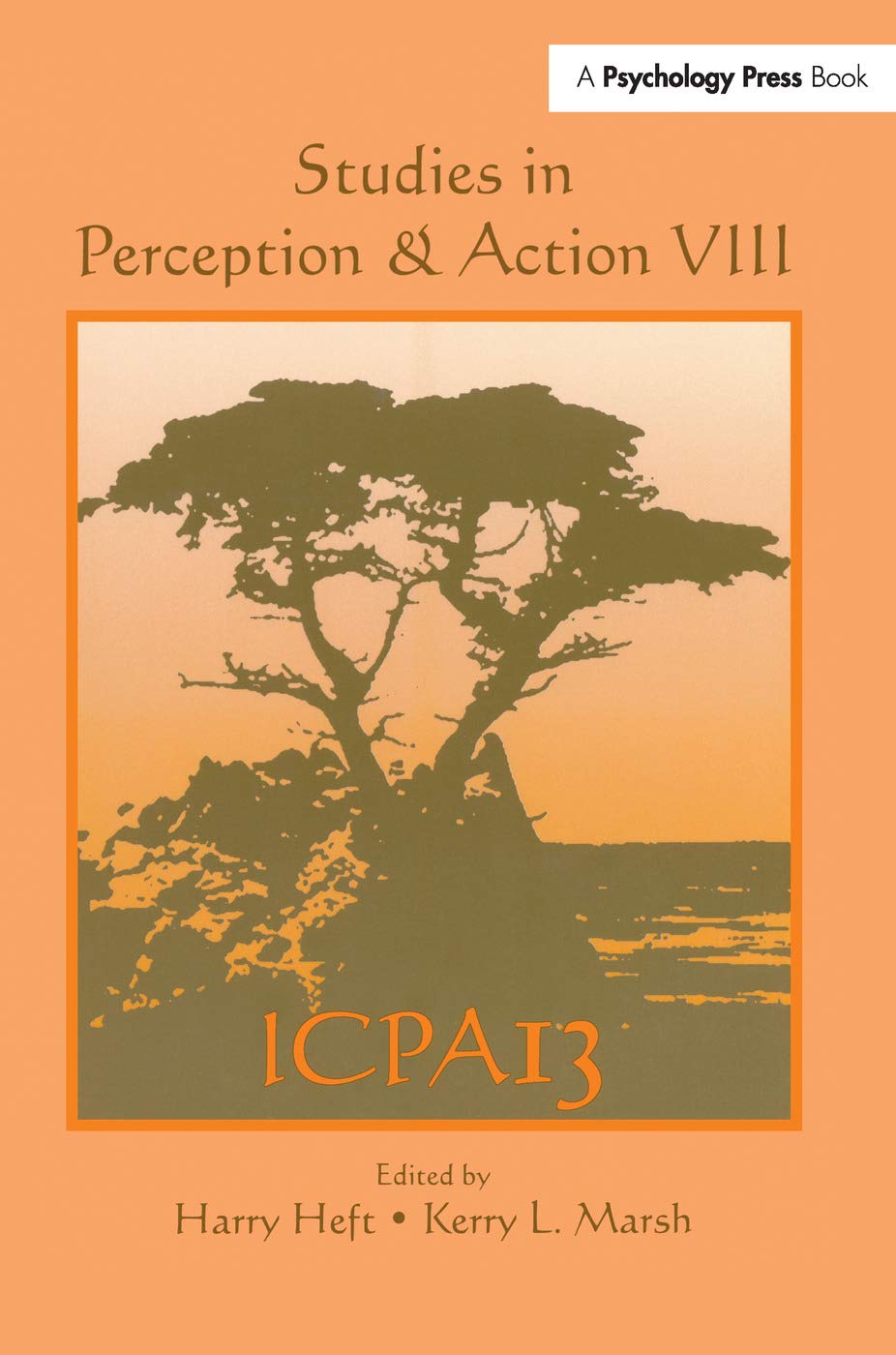unbekannt Studies In Perception And Action Viii, Thirteenth International Conference On Perception And Action