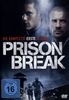 Prison Break - Die komplette Season 1 [6 DVDs]