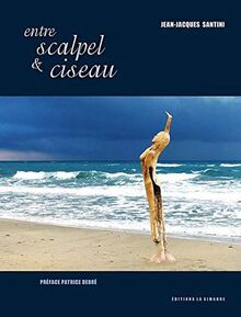 Entre scalpel & ciseau von Santini, Jean-Jacques | Buch | Zustand gut