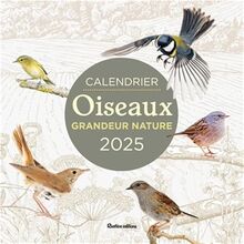 Oiseaux grandeur nature : calendrier mural 2025