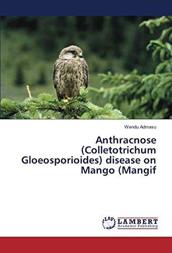 Anthracnose (Colletotrichum Gloeosporioides) disease on Mango (Mangif