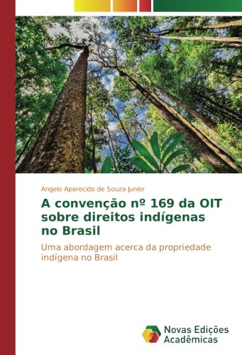 A convenção nº 169 da OIT sobre direitos indígenas no Brasil: Uma abordagem acerca da propriedade indígena no Brasil