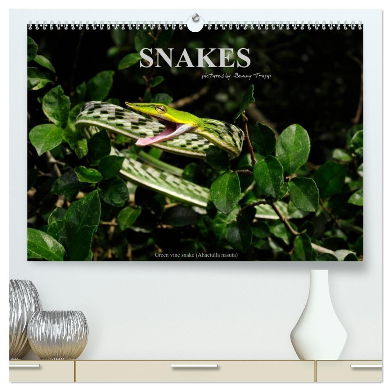 SNAKES / UK-Version (High Quality Premium Wall Calendar 2027 DIN A2 landscape),CALVENDO 12 Month Wall Calendar