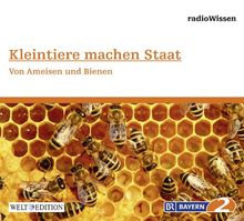 Kleintiere machen Staat - Von Ameisen und Bienen - Edition BR2 radioWissen/Welt-Edition