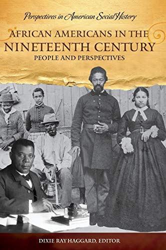 African Americans in the Nineteenth Century: People and Perspectives (Perspectives in American Social History)