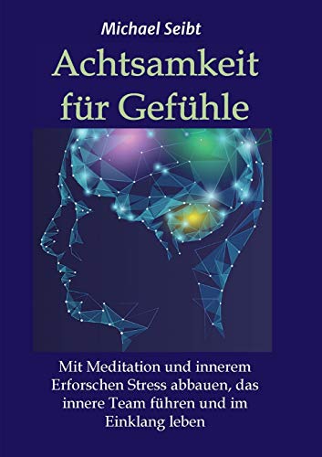 Achtsamkeit für Gefühle: Mit Meditation und innerem Erforschen Stress abbauen, das innere Team führen und im Einklang leben