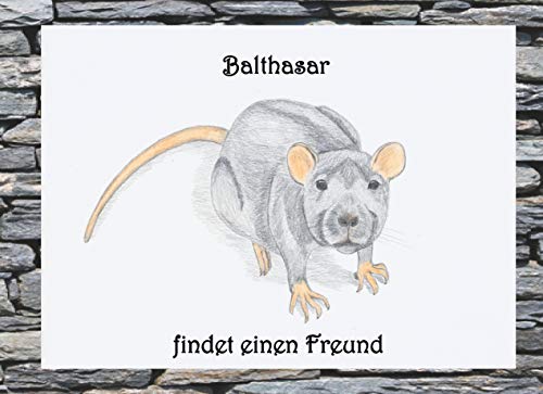 Balthasar findet einen Freund
