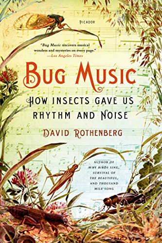 David Rothenberg Bug Music