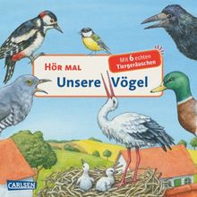 Hör mal: Hör mal - Unsere Vögel von Anne Möller | Buch | Zustand akzeptabel