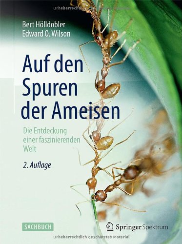 Auf den spuren der ameisen