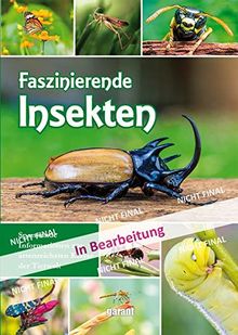 Faszinierende Insekten und Spinnentiere unserer Heimat