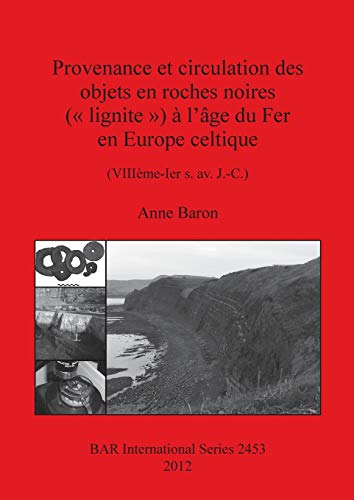 Provenance et circulation des objets en roches noires ( lignite ) à l'âge du Fer en Europe celtique: (VIIIème-Ier s. av. J.-C.) (BAR International)