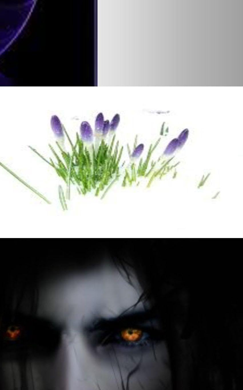 A Collection of Lives