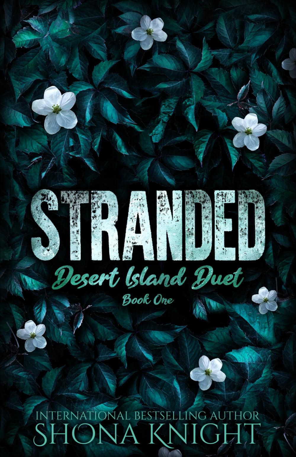 Stranded (Desert Island Duet, Band 1)