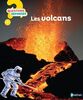 Les Volcans (17)