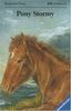 Pony Stormy: Die abenteuerliche Geschichte um die Geburt eines Ponys