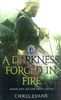 A Darkness Forged in Fire: Book One of The Iron Elves
