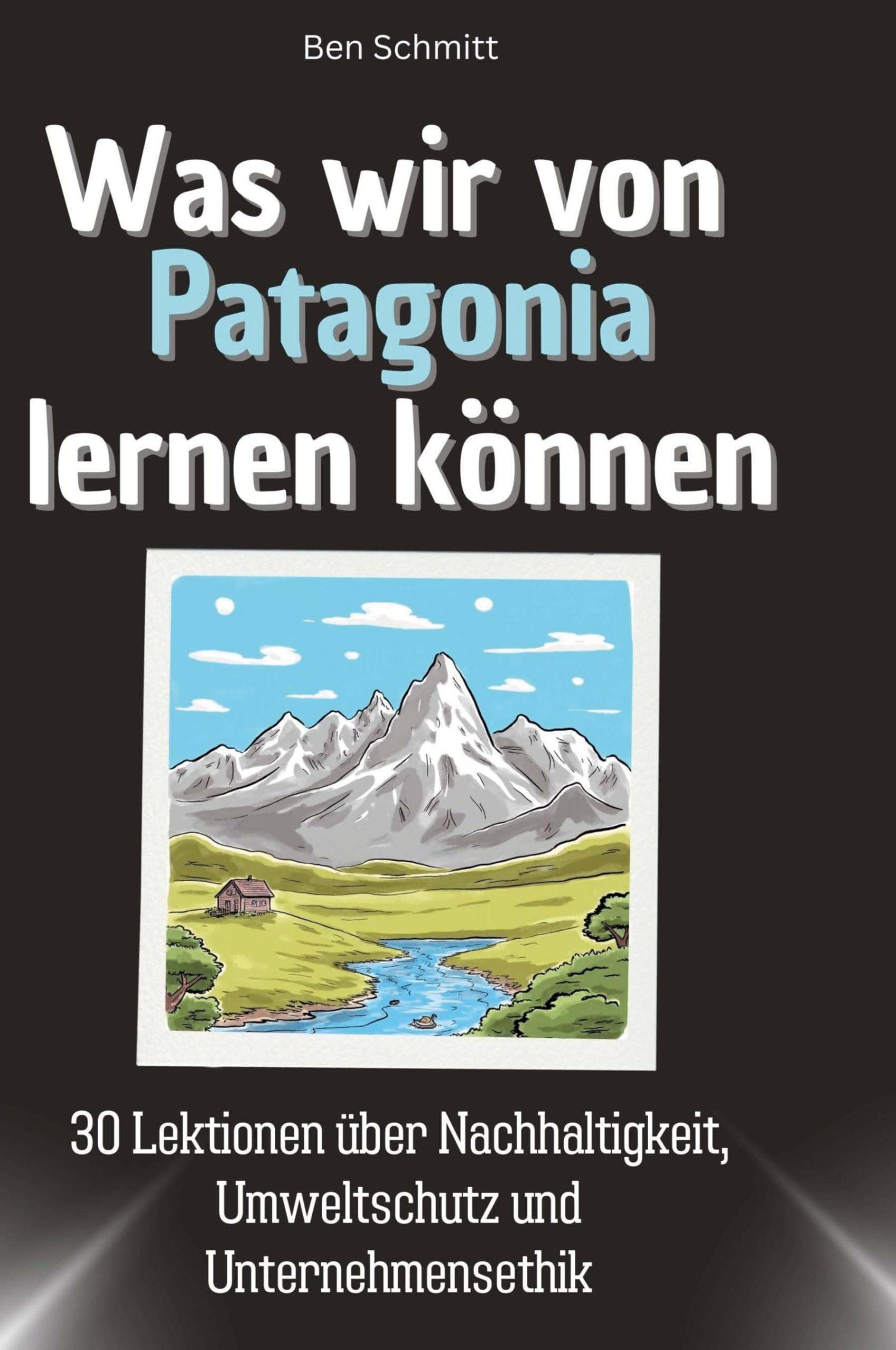 Was wir von Patagonia lernen können: 30 Lektionen über Nachhaltigkeit, Umweltschutz und Unternehmensethik