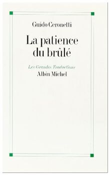 La patience du brûlé : carnets de voyage, 1983-1987