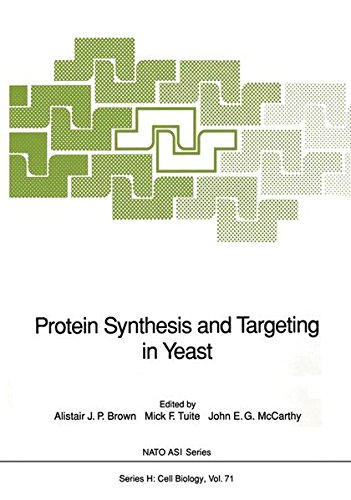 Protein Synthesis and Targeting in Yeast (Nato ASI Subseries H:)