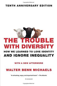 The Trouble with Diversity: How We Learned to Love Identity and Ignore Inequality