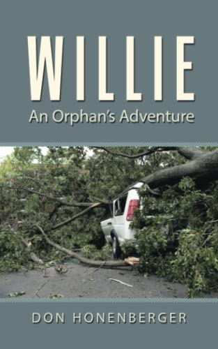 Willie: An Orphan’s Adventure