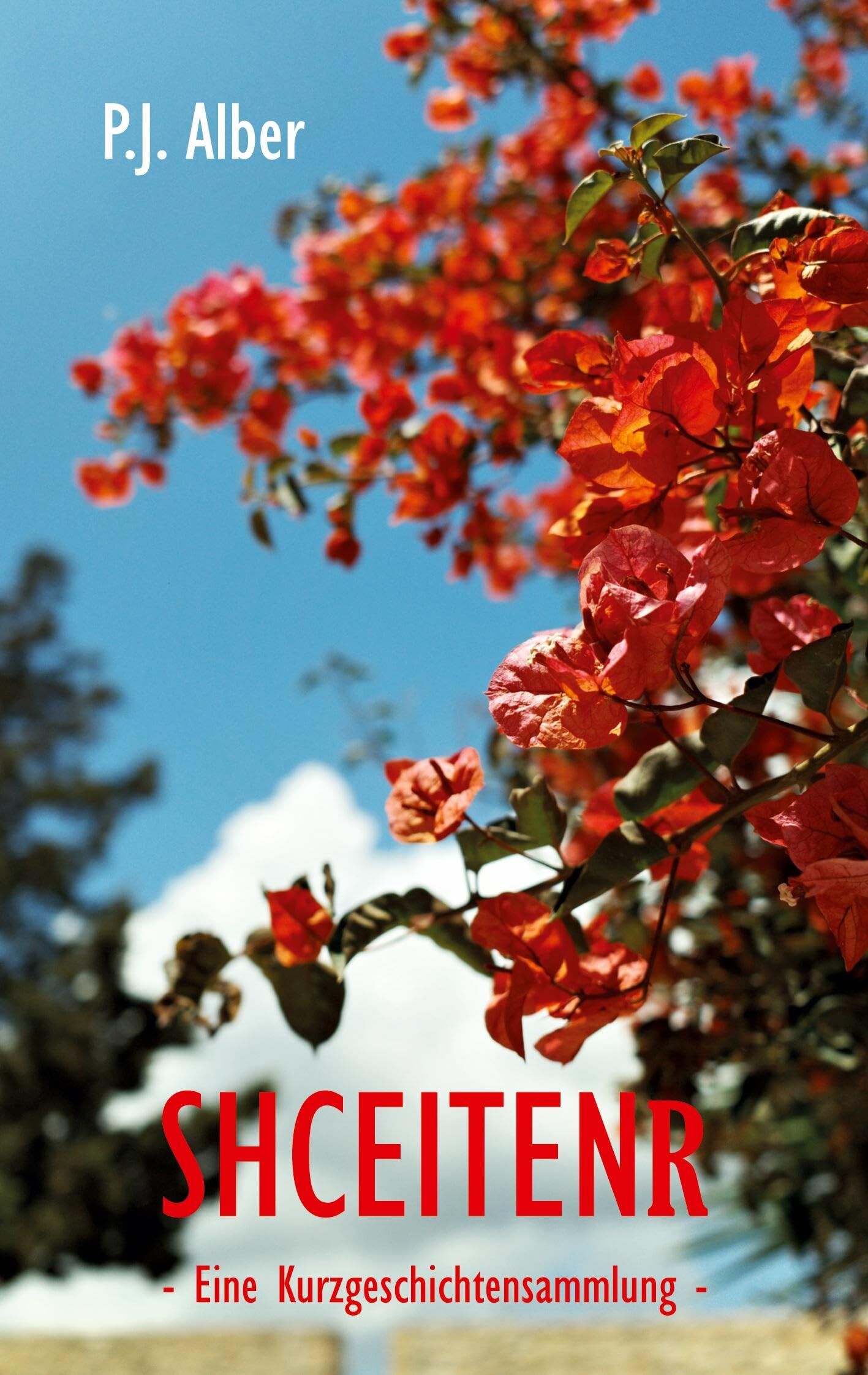 Shceitenr