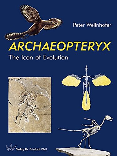 Peter Wellnhofer Archaeopteryx, The Icon Of Evolution