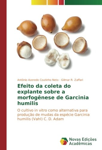 Efeito da coleta do explante sobre a morfogênese de Garcinia humilis: O cultivo in vitro como alternativa para produção de mudas da espécie Garcinia humilis (Vahl) C. D. Adam
