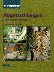 Ratgeber Abgottschlangen