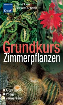 Grundkurs Zimmerpflanzen