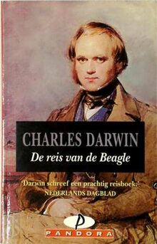 REIS VAN DE BEAGLE (PANDORA)