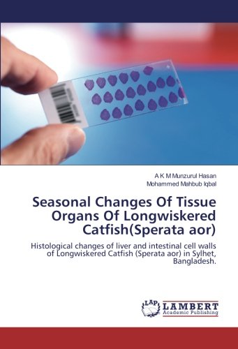 Seasonal Changes Of Tissue Organs Of Longwiskered Catfish(Sperata aor): Histological changes of liver and intestinal cell walls of Longwiskered Catfish (Sperata aor) in Sylhet, Bangladesh.