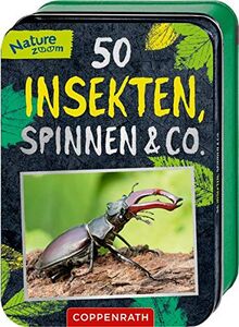 50 Insekten, Spinnen & Co. (Nature Zoom)
