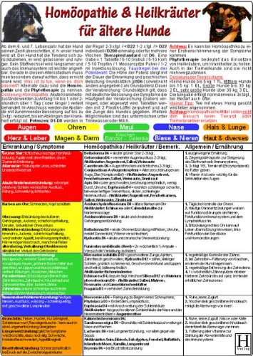 Homöopathie & Heilkräuter für ältere Hunde