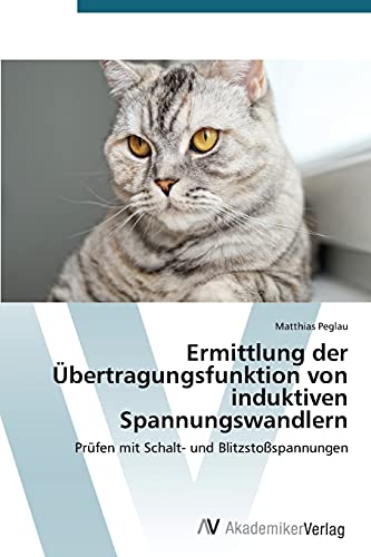 Ermittlung der Übertragungsfunktion von induktiven Spannungswandlern: Prüfen mit Schalt- und Blitzstoßspannungen