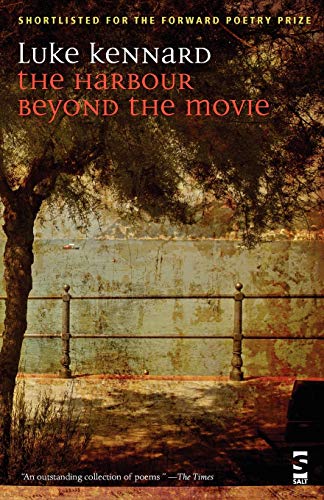 The Harbour Beyond the Movie (Salt Modern Poets)