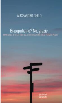 Bi-populismo? No, grazie.: Manuale d'uso per la costruzione del terzo polo