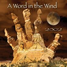 Word in the Wind [DVD-AUDIO]