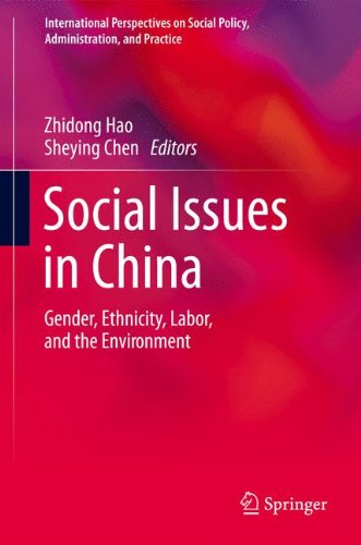 Social Issues in China: Gender, Ethnicity, Labor, and the Environment (International Perspectives on Social Policy, Administration, and Practice)